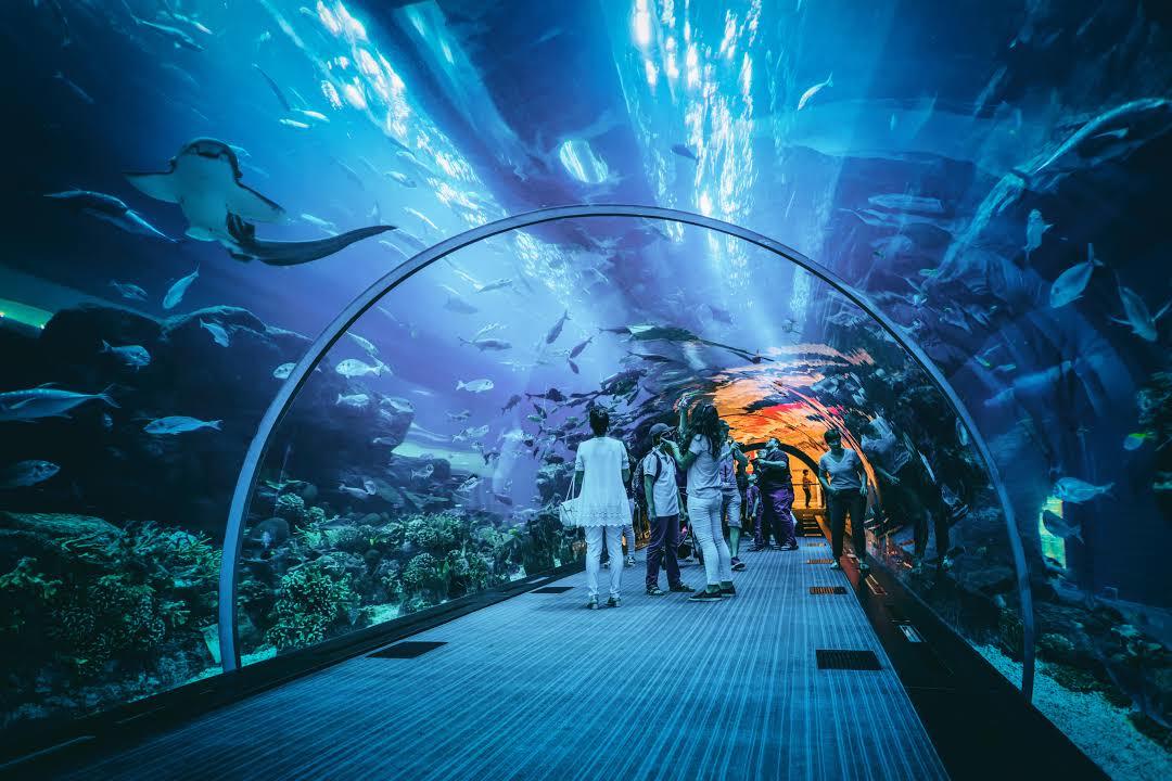 Aquarium et zoo sous-marin de Dubaï